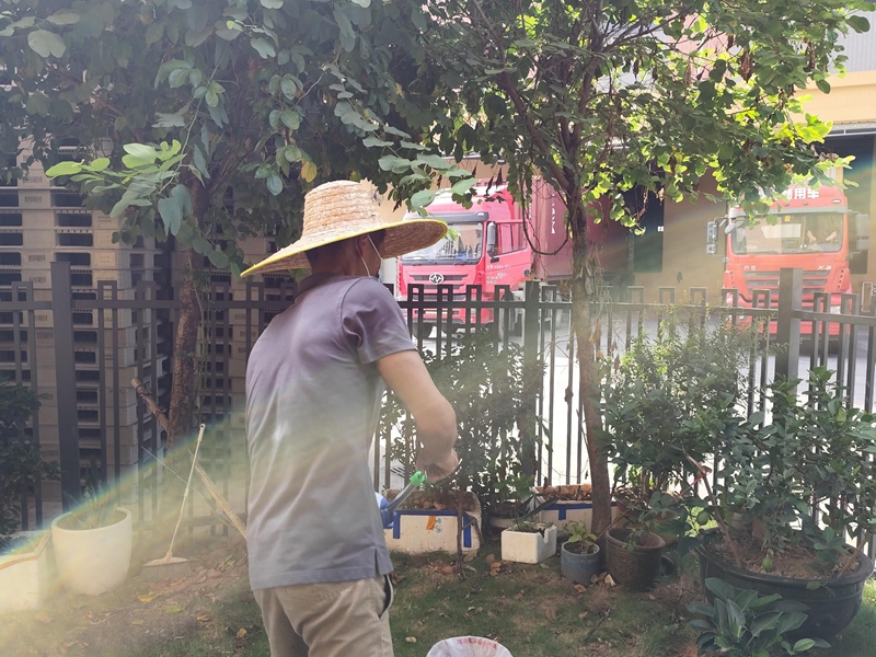 蚊虫消杀 蚊虫消杀