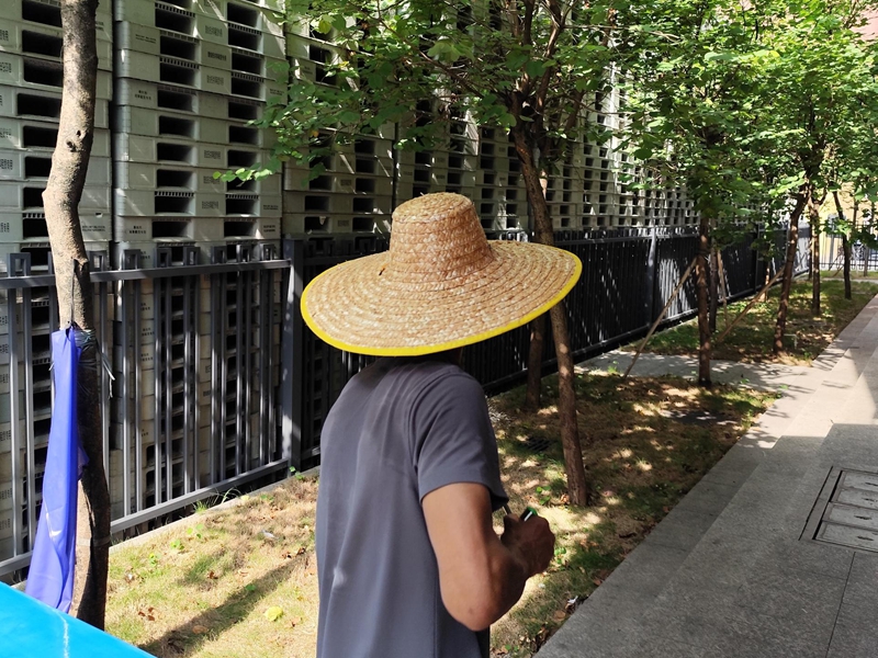 蚊虫消杀 蚊虫消杀